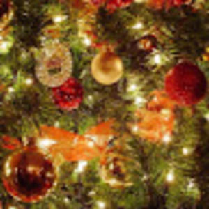 Meet your Posher, Malloryyy